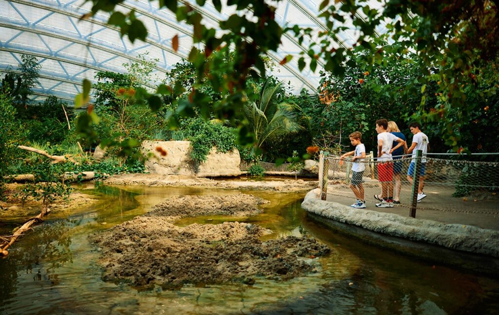 Burgers' Zoo