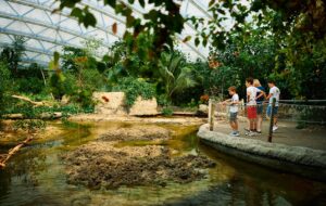 Burgers' Zoo