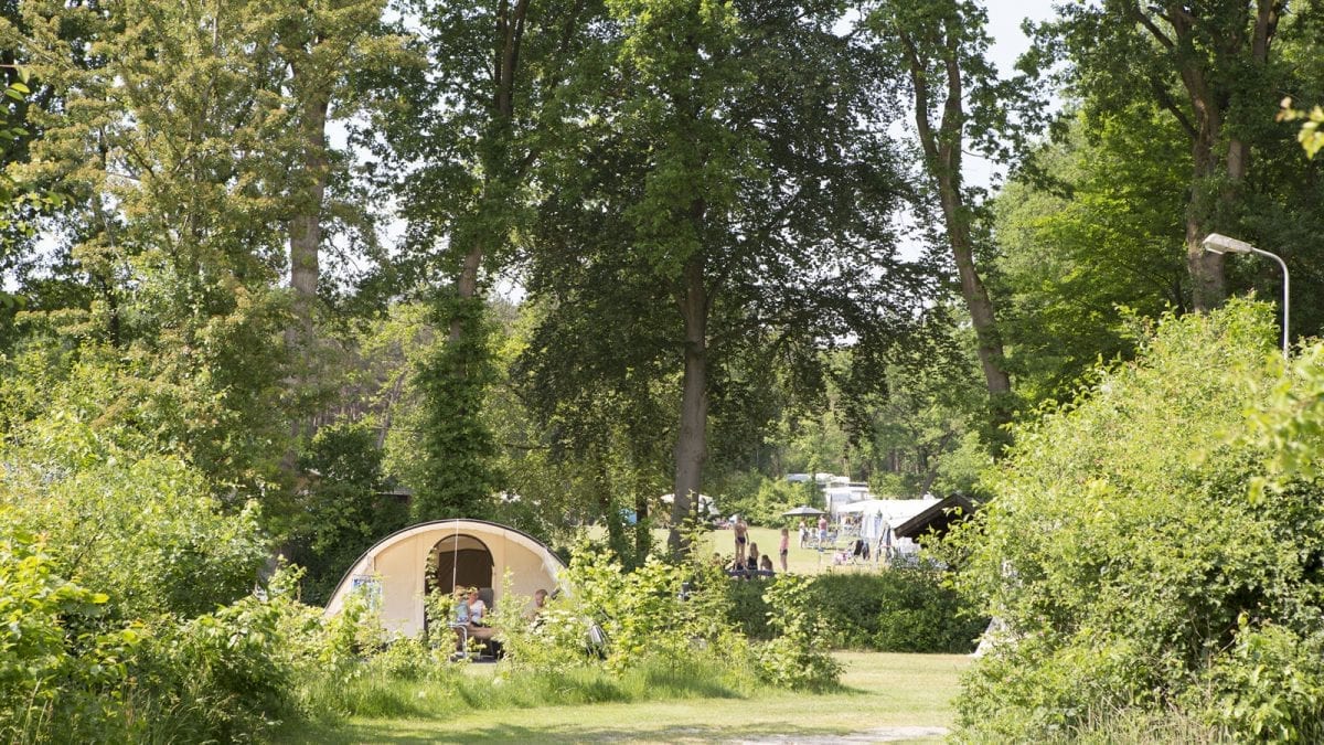 Natuurcampings Overijssel