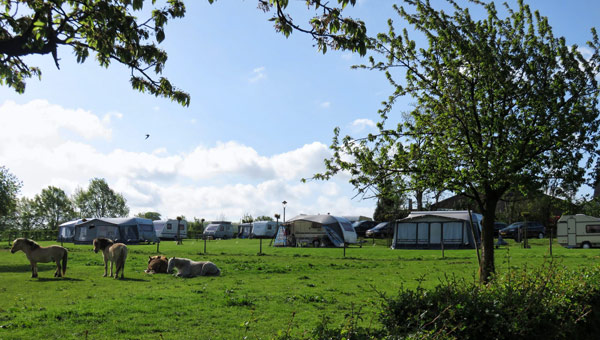 Boerderijcamping Hof van Libeek