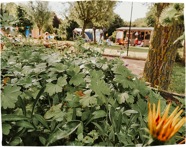 Camping Oergezellig