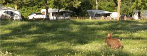 Camping De Ganzenhof
