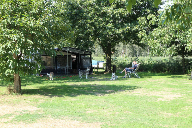Camping De Peelkant
