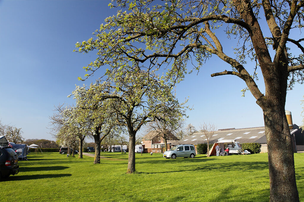 Camping De Kersengaard