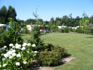 Camping Parc De Witte Vennen