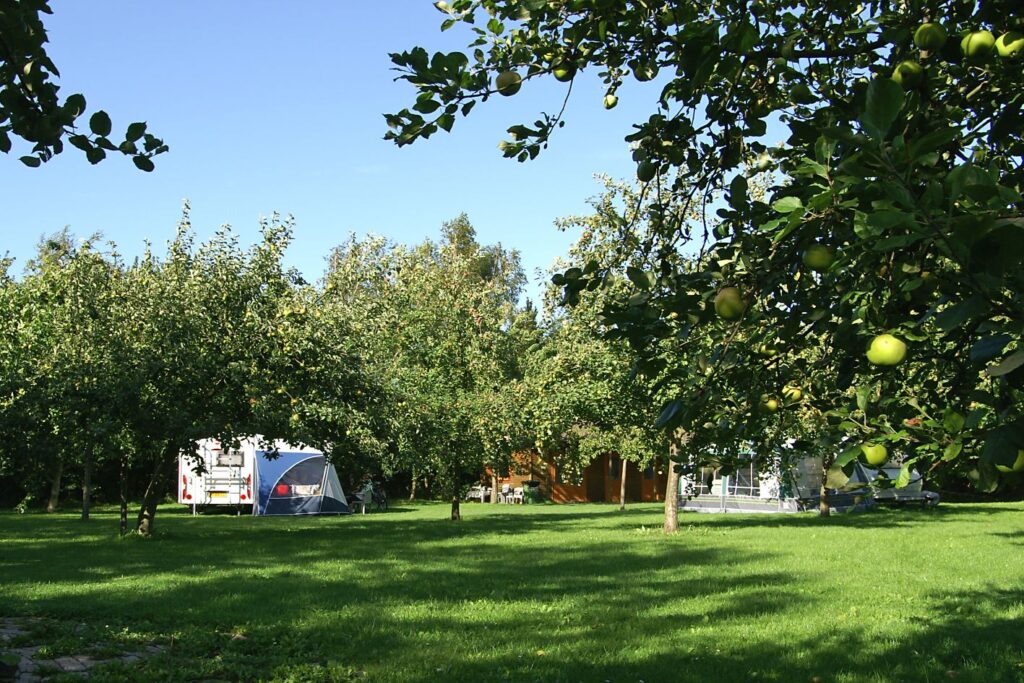 Camping Door's Logies