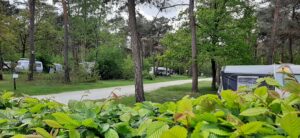 Bospark Langeloërduinen Norg