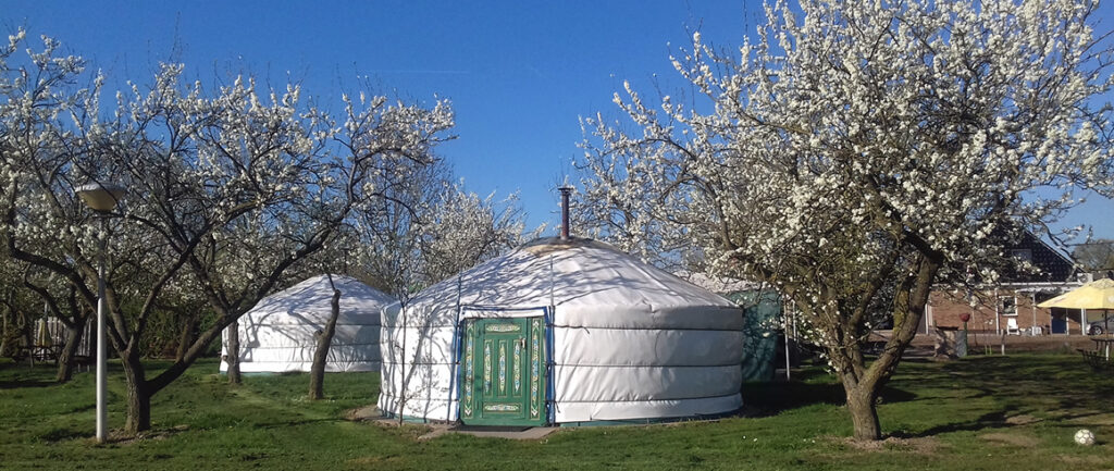 Mongoolse Camping QLKQ