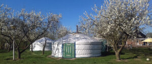 Mongoolse Camping QLKQ