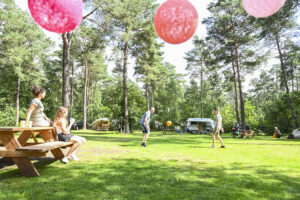 Vakantiepark De Krakeling
