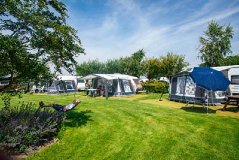 Camping Polderflora