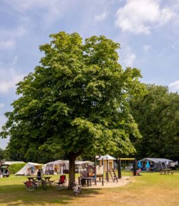 Camping De Helfterkamp
