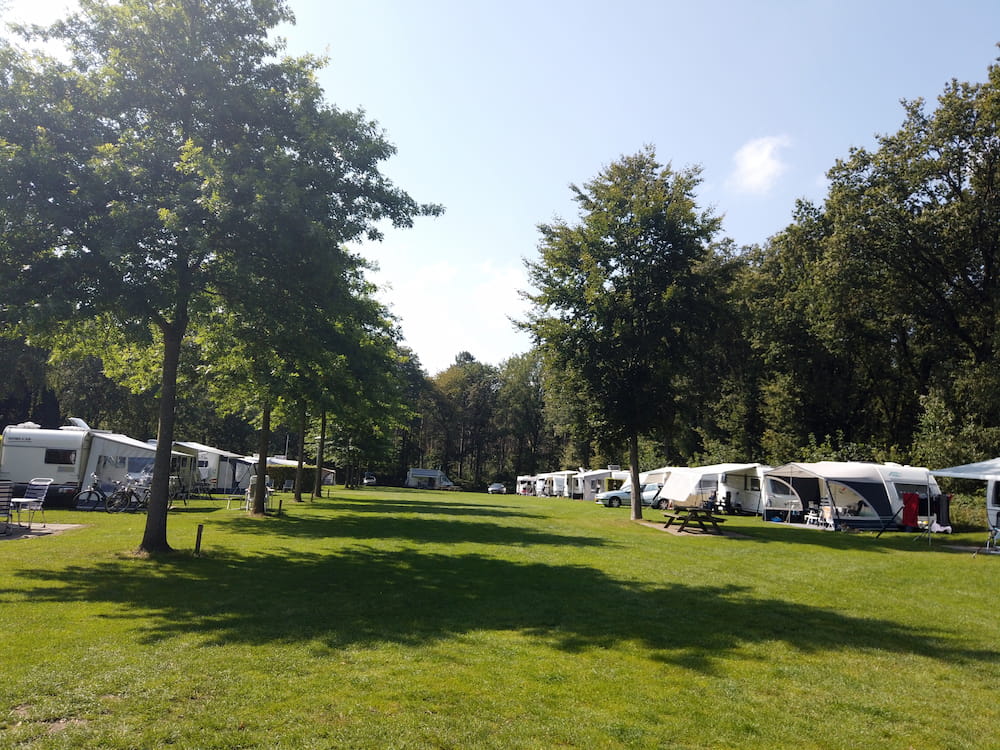 Camping Nederrijkswald