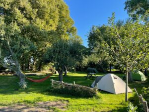 Natuurkampeerterrein De Grutto
