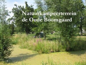 Natuurkampeerterrein De Oude Boomgaard