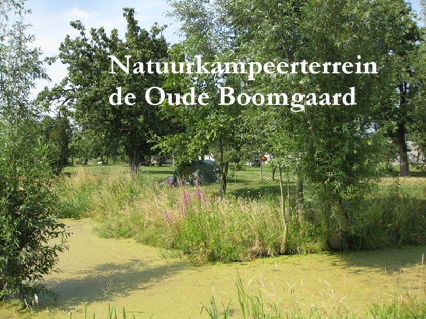 Natuurkampeerterrein De Oude Boomgaard