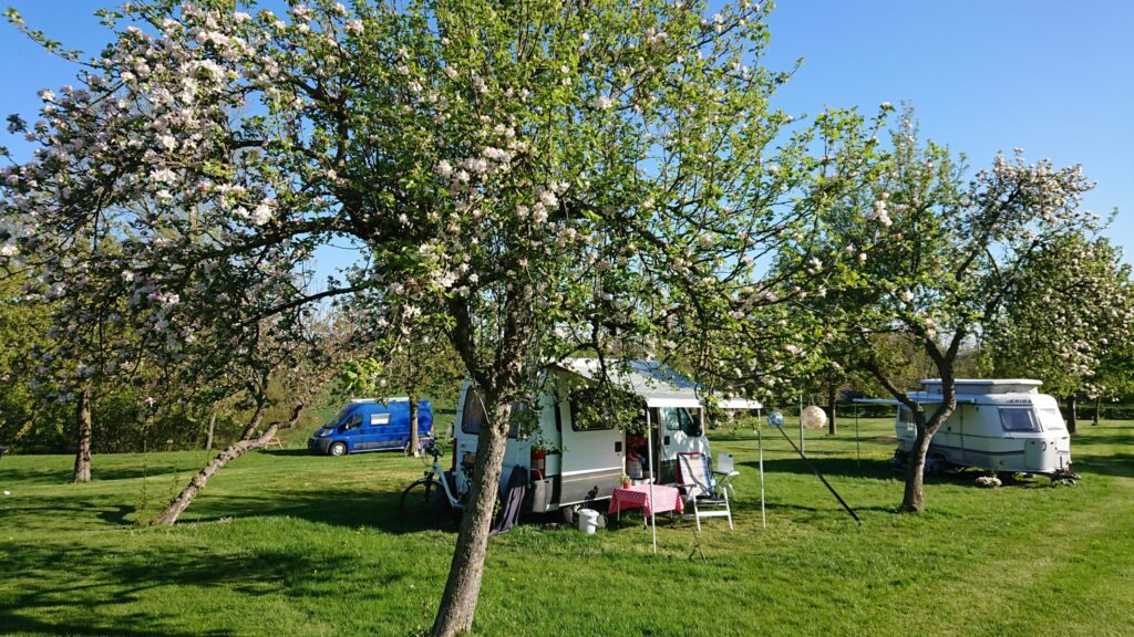 Minicamping Het Bovenste Bos