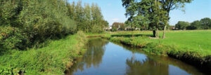 Camping De Maashoeve