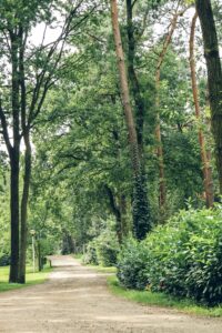 Recreatiepark De Heimolen