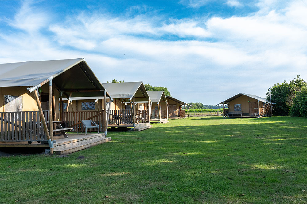Camping Breehees