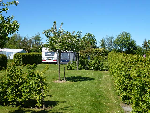Mini-camping De Boshoorn