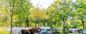 Camping De Ullingse Bergen