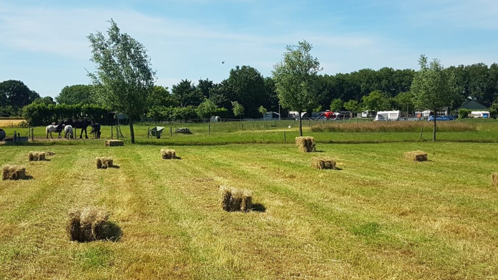 Mini-camping Uitgerust