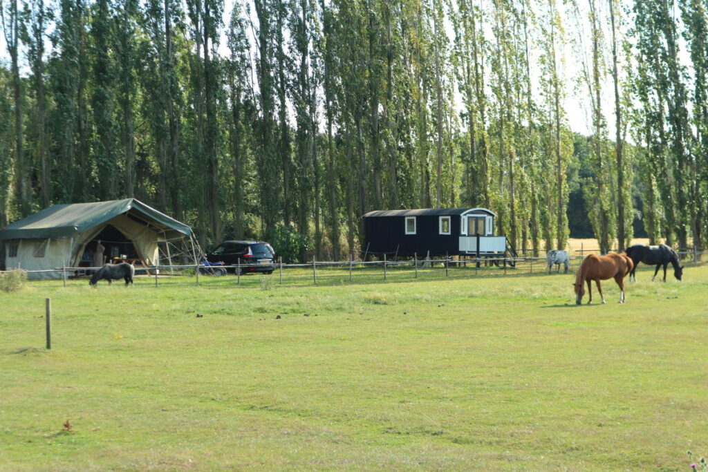 Kampeerhoeve ‘s-Gravenhof