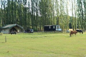 Kampeerhoeve ‘s-Gravenhof