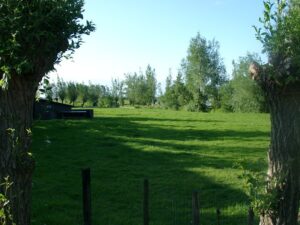 Camping het Salamandertje
