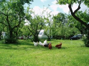 Camping het Achterhuis