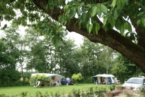 Minicamping Het Wielseveld