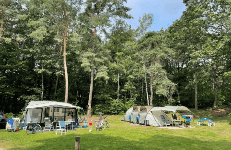 Vakantiepark Hertenhorst