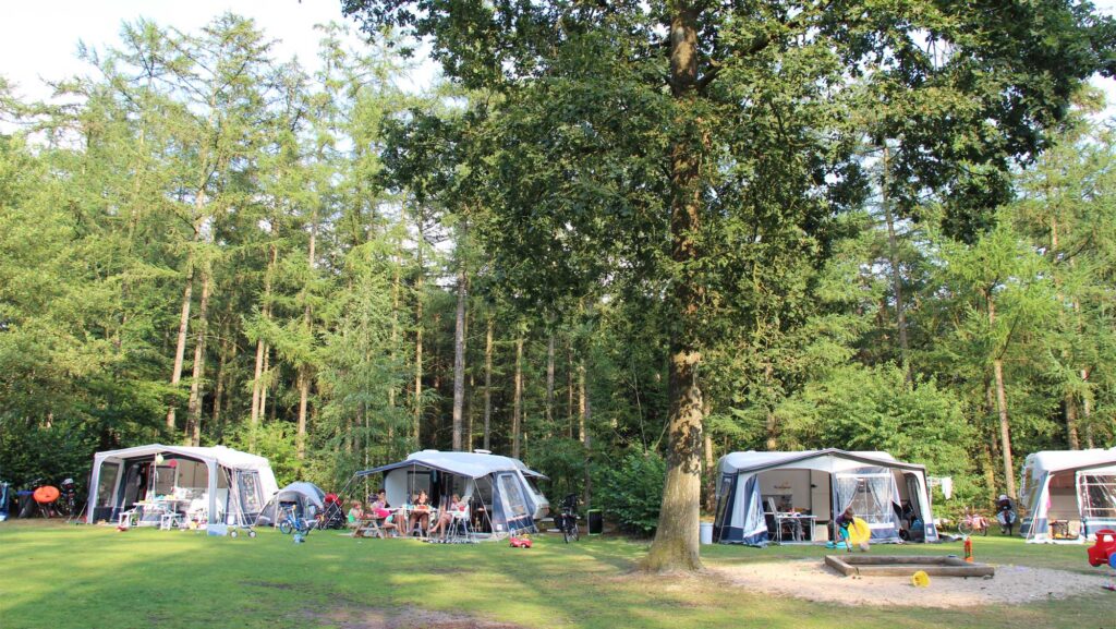 Molecaten Park De Leemkule