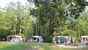 Molecaten Park De Leemkule