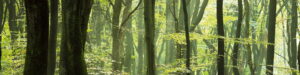 Camping De Veenkuil