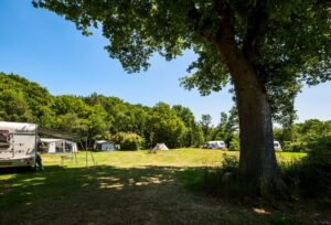 Camping Huis in 't Veld