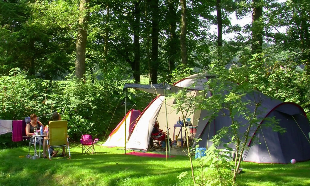 Camping De Waps
