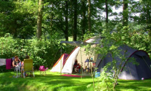 Camping De Waps