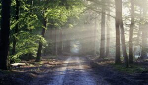 Camping De Schuilhoeve