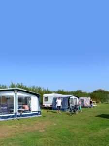Camping Anemoone