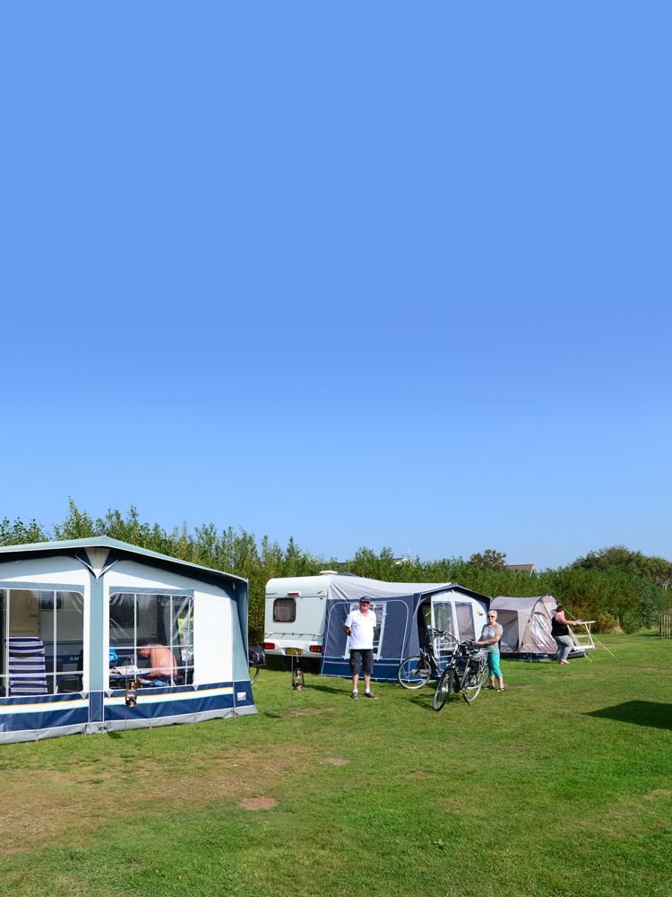Camping Anemoone