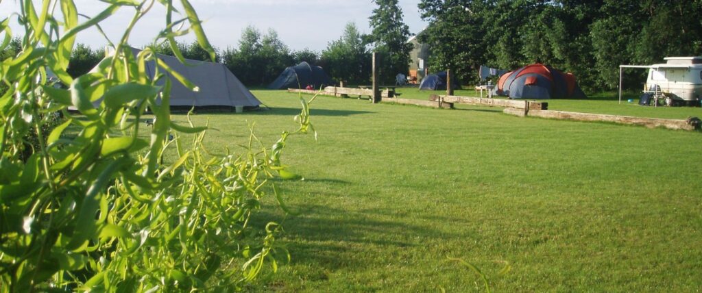 Camping Hoeve Nieuw Breda