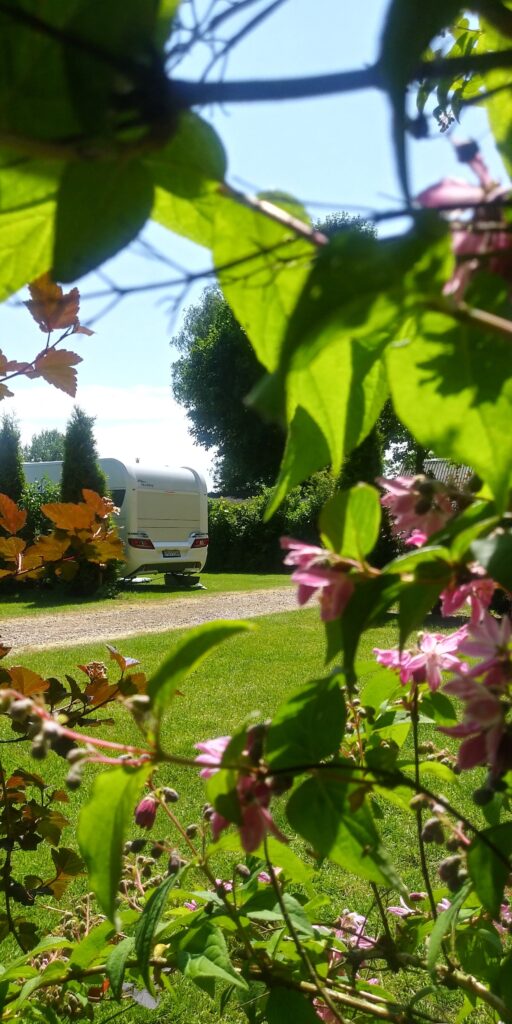 Camping Noorderzon