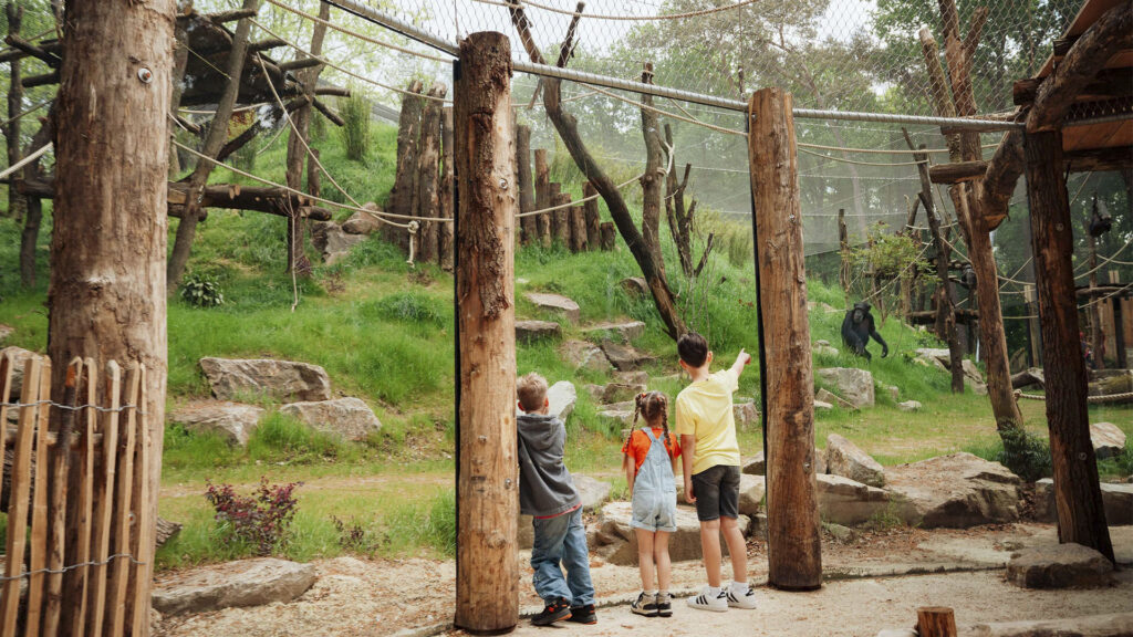 DierenPark Amersfoort