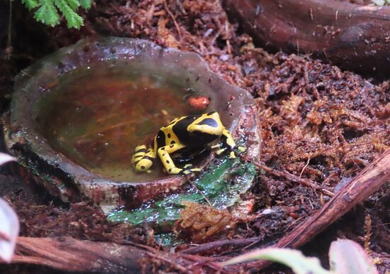 Aquazoo Leerdam