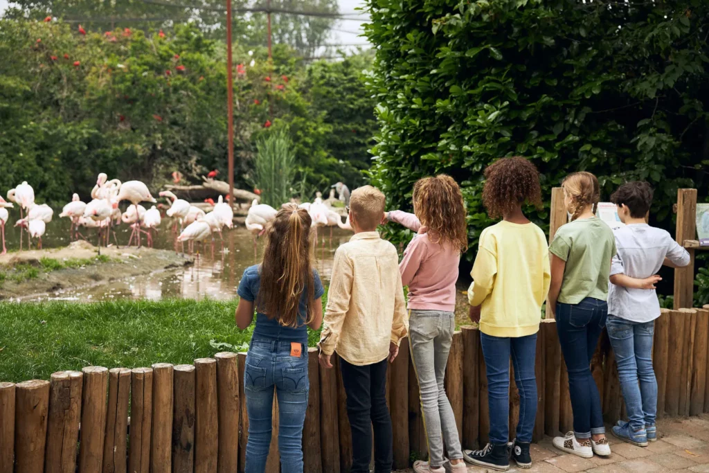 EindhovenZoo (Dierenrijk)
