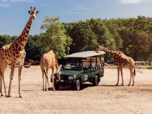 Safaripark Beekse Bergen