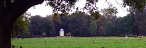 Speelpark Hoge Boekel