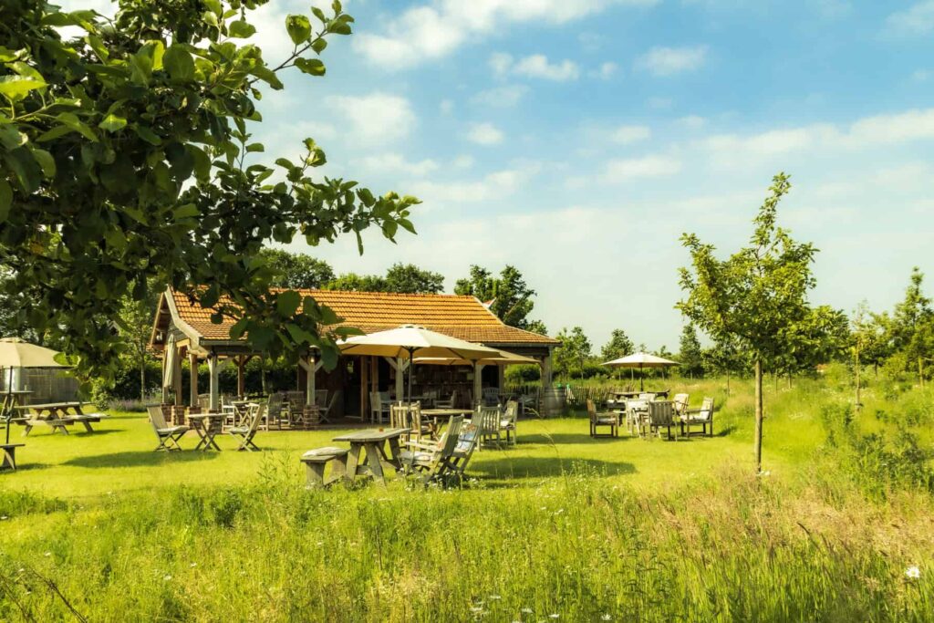 Camping In de 7e hemel